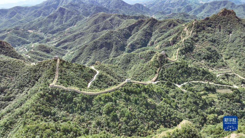 利发-泛娱乐